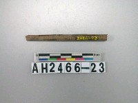 藏品(石針殘件)的圖片